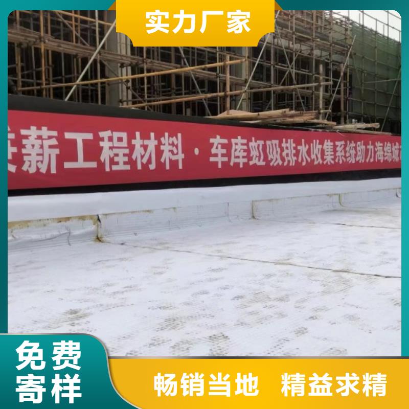 排水板_土工膜精选货源