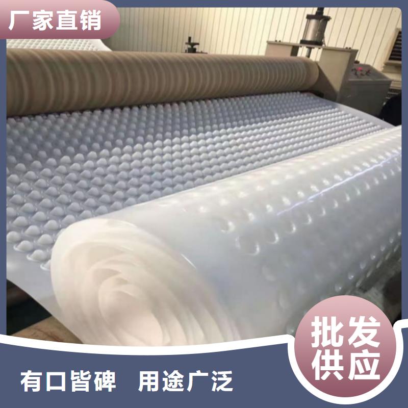 排水板_土工膜精选货源