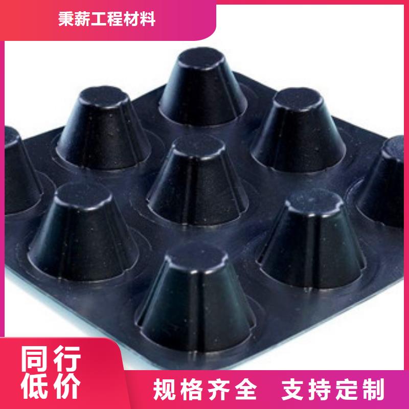 排水板_土工膜精选货源