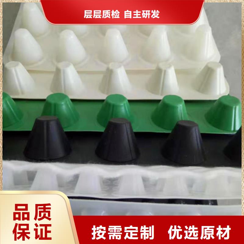 排水板_土工膜精选货源