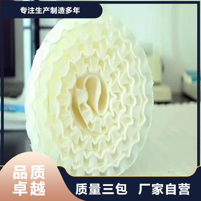 排水板_土工膜精选货源