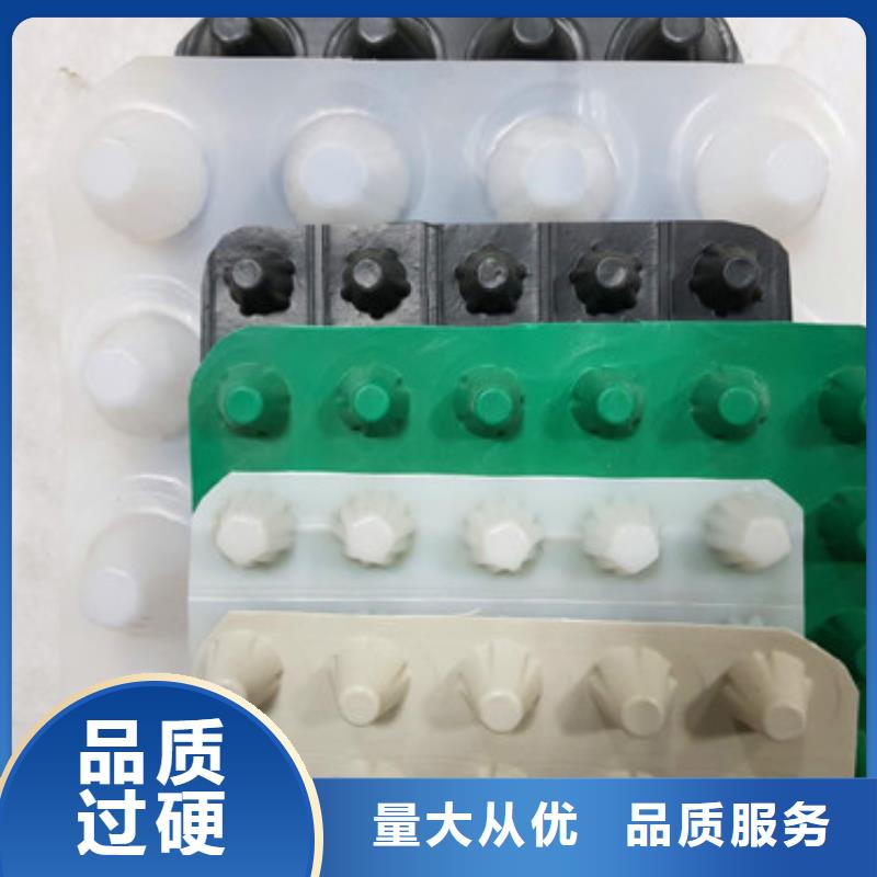 排水板_土工膜精选货源