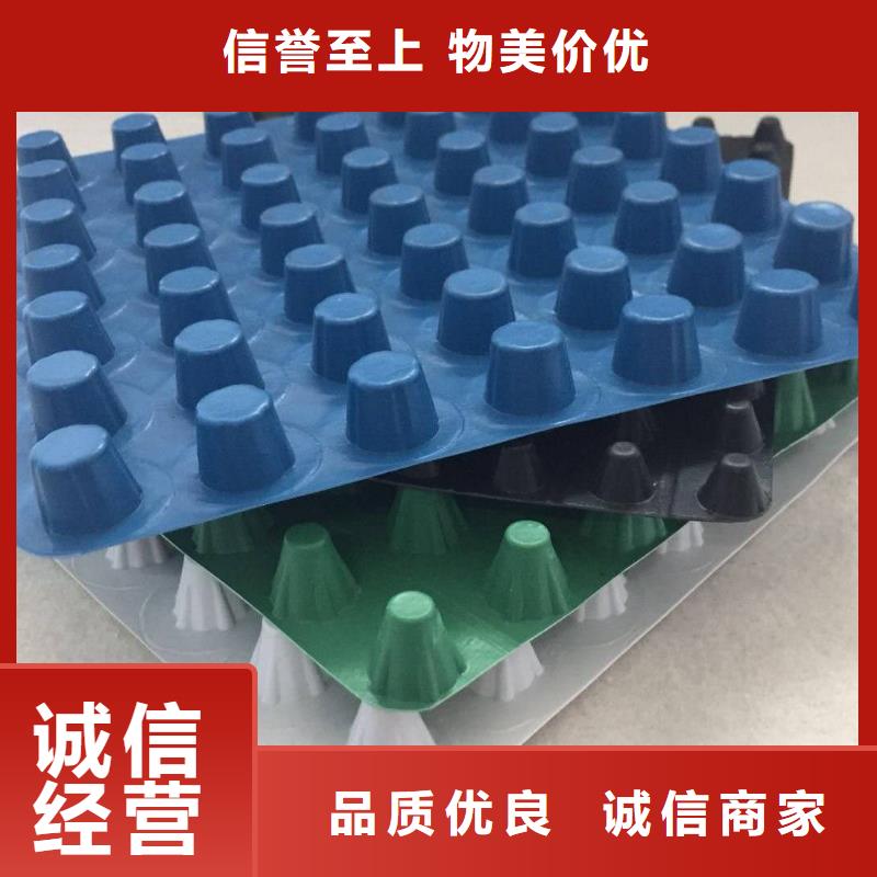 排水板_土工膜精选货源