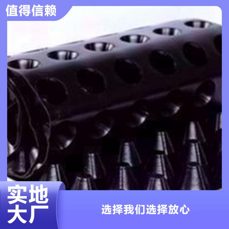 排水板_土工膜精选货源