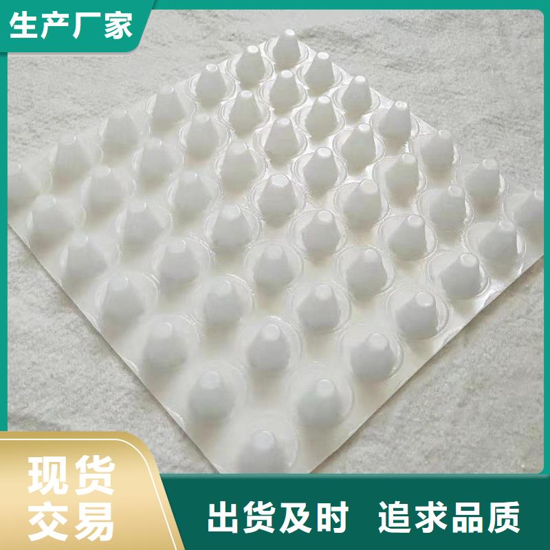排水板_土工膜精选货源