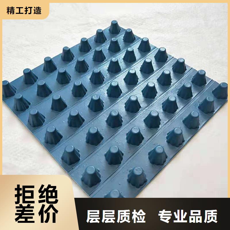 排水板_土工膜精选货源