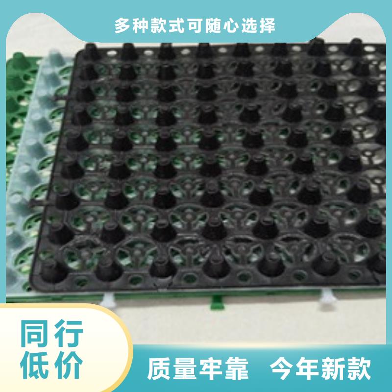 排水板_土工膜精选货源