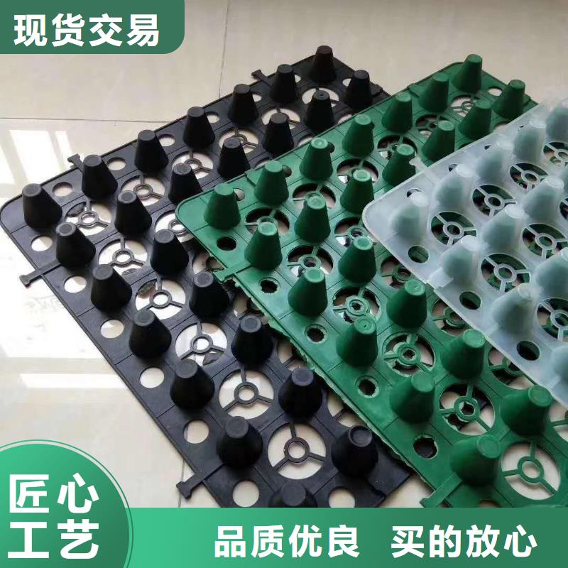 排水板_土工膜精选货源