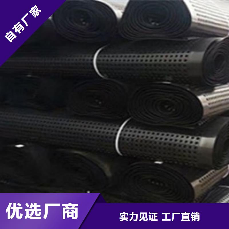排水板_土工膜精选货源
