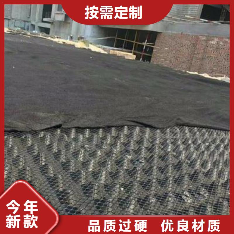 排水板_土工膜精选货源