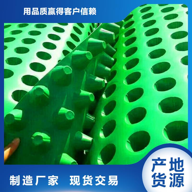 排水板_土工膜精选货源