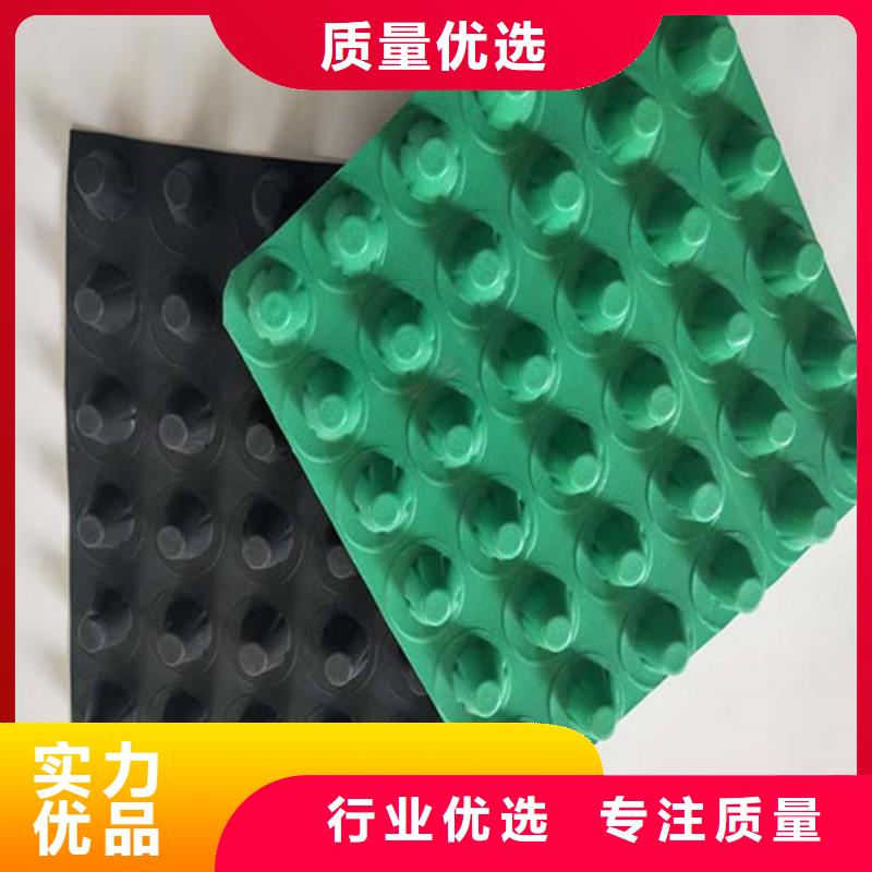 排水板_土工膜精选货源
