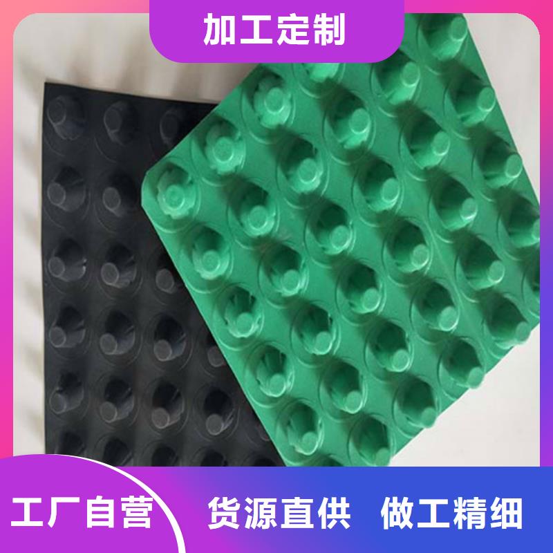 排水板_土工膜精选货源