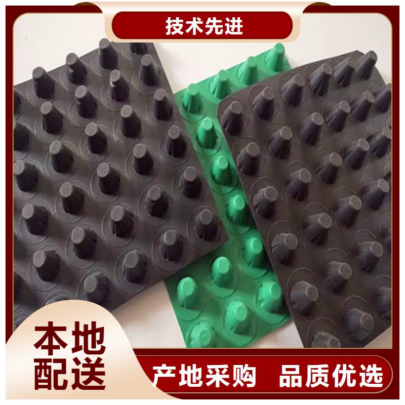 排水板-土工膜48小时发货