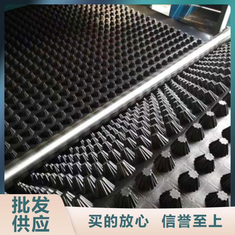 排水板_土工膜精选货源