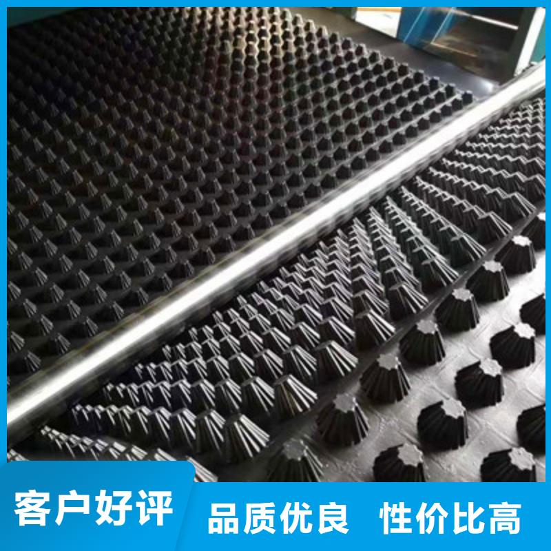 排水板_土工膜精选货源