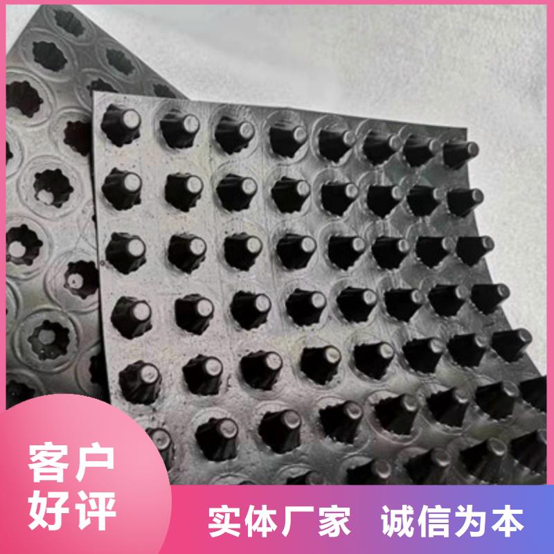 排水板_土工膜精选货源