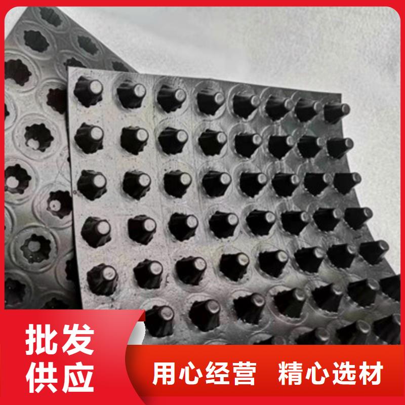 排水板_土工膜精选货源