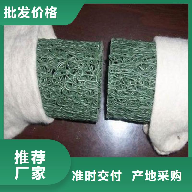 塑料盲沟疏水板欢迎来电咨询