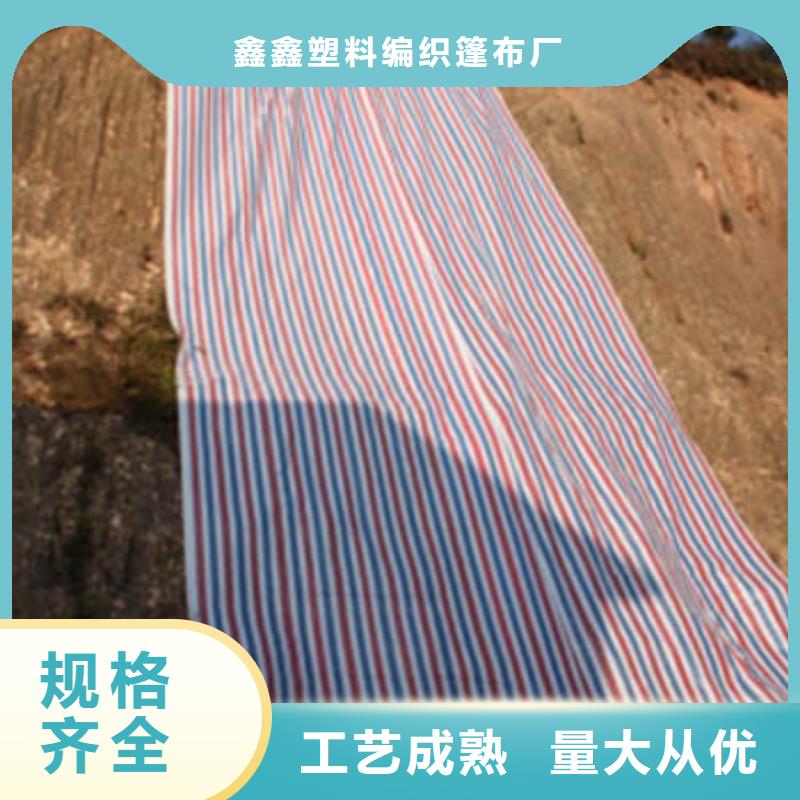 彩条布一次性彩条布厂家直发