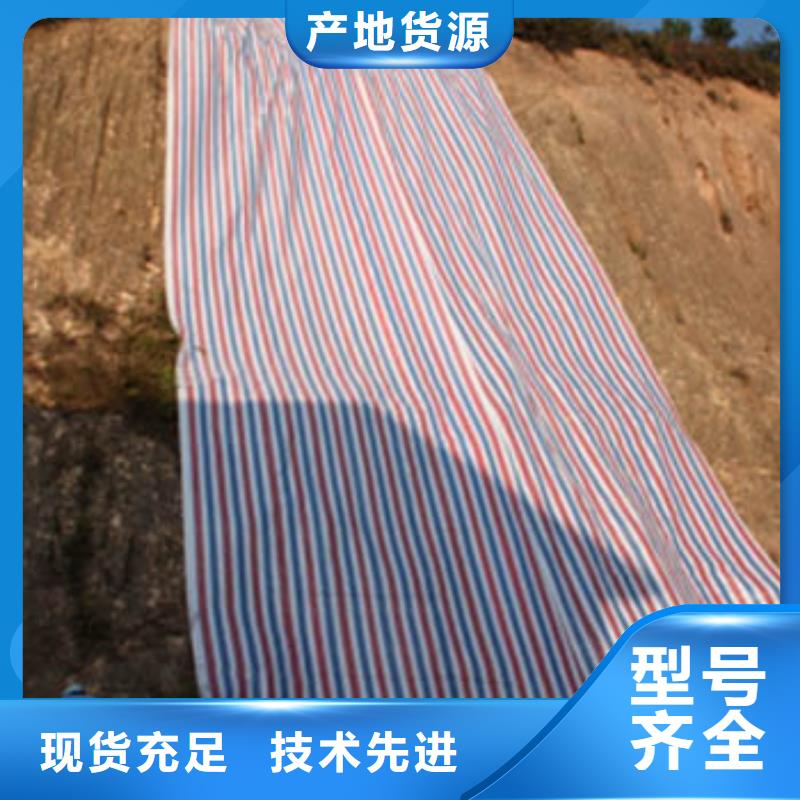 彩条布一次性彩条布厂家直发