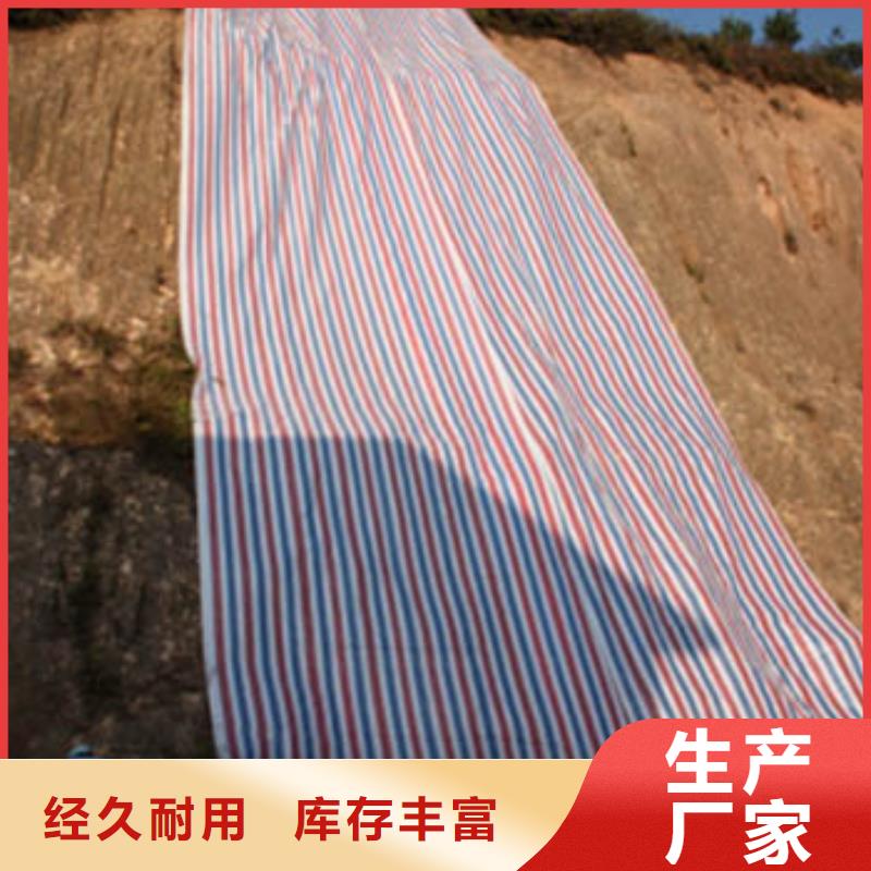 彩条布_防雨布精益求精