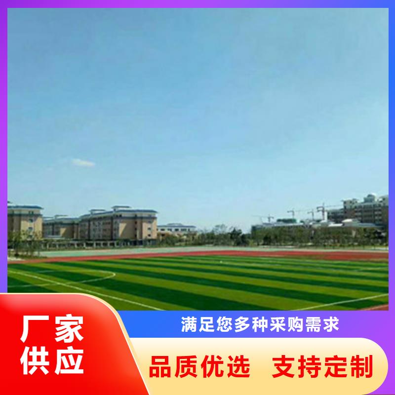 球场_【高弹性场地】按需定制