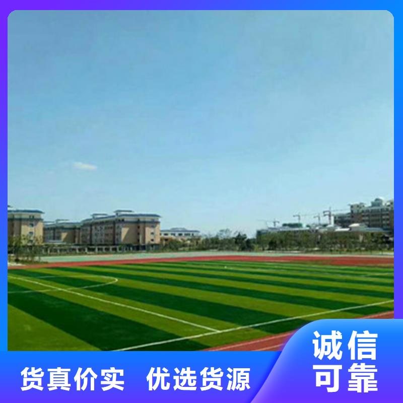 球场,【塑胶跑道】建设厂家工程施工案例