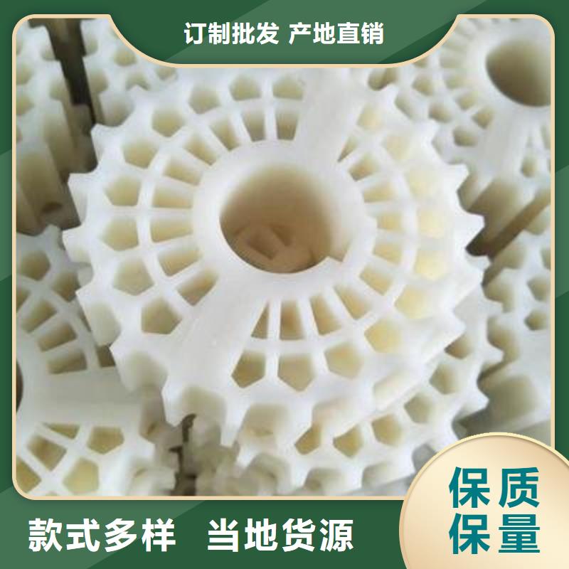 尼龙轮大型尼龙轮严格把控质量