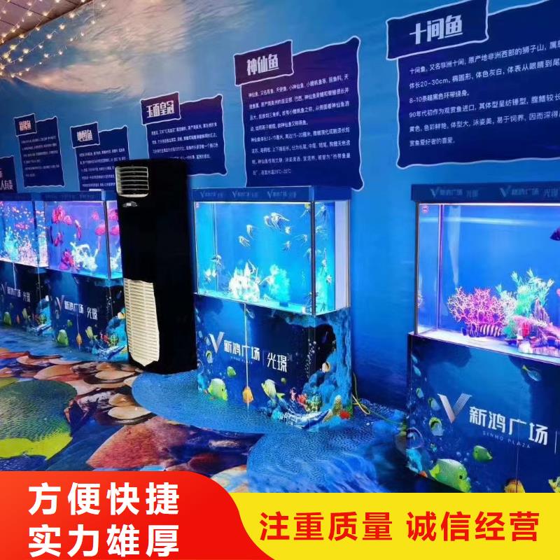 企鹅展览定制-实力厂家