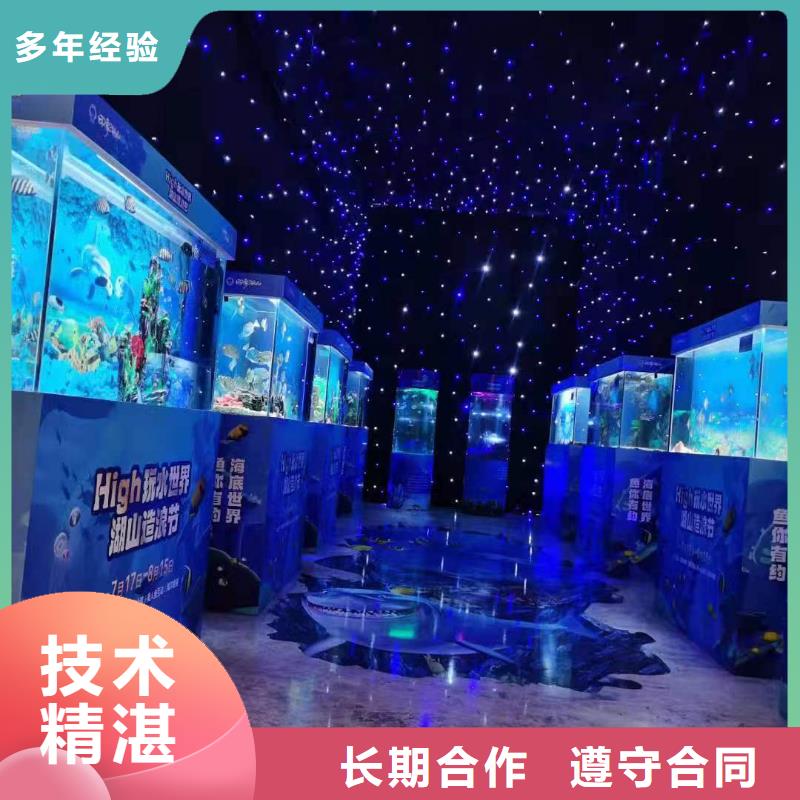 帝企鹅 优势特点