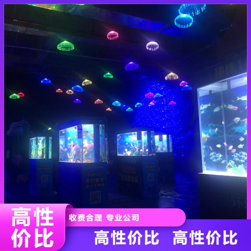 批发帽带企鹅_生产厂家