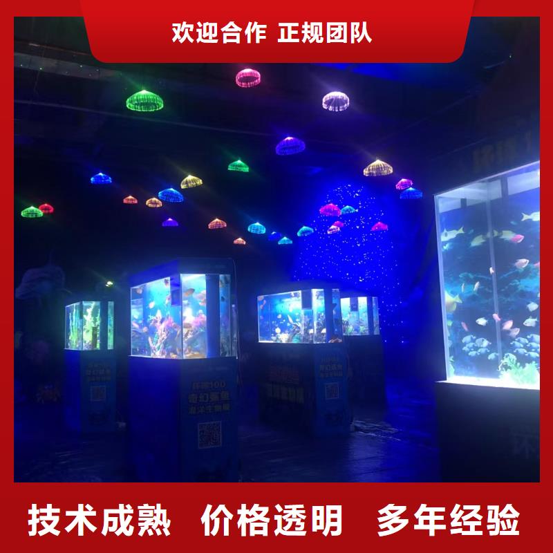 采购巴布亚企鹅必看-可信赖