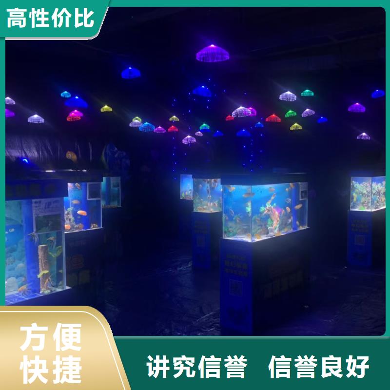 企鹅展览参数图文介绍