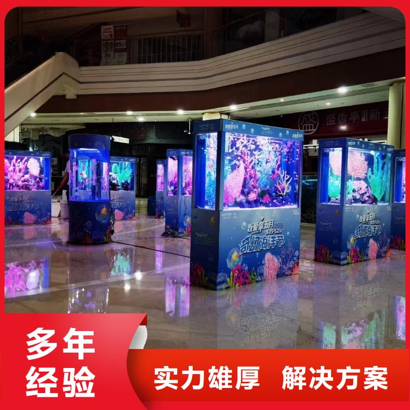 巴布亚企鹅、巴布亚企鹅生产厂家