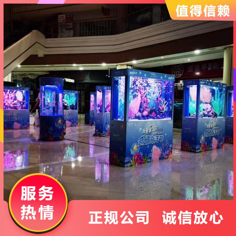 企鹅展览企业-可接大单