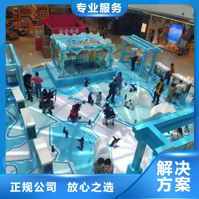 帝企鹅 供不应求