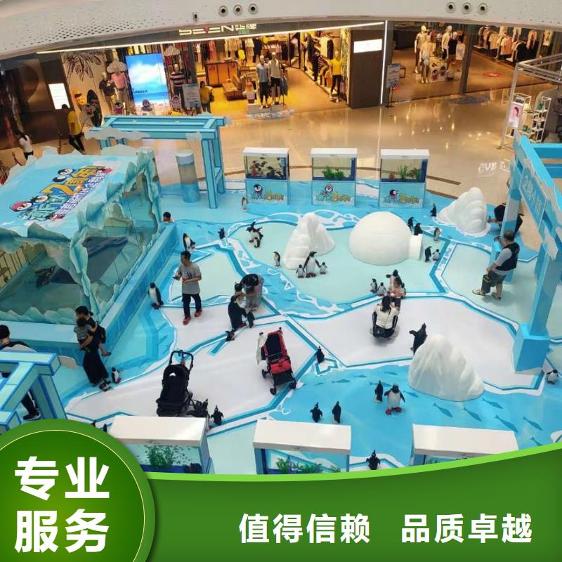 规格全的企鹅出租品牌厂家