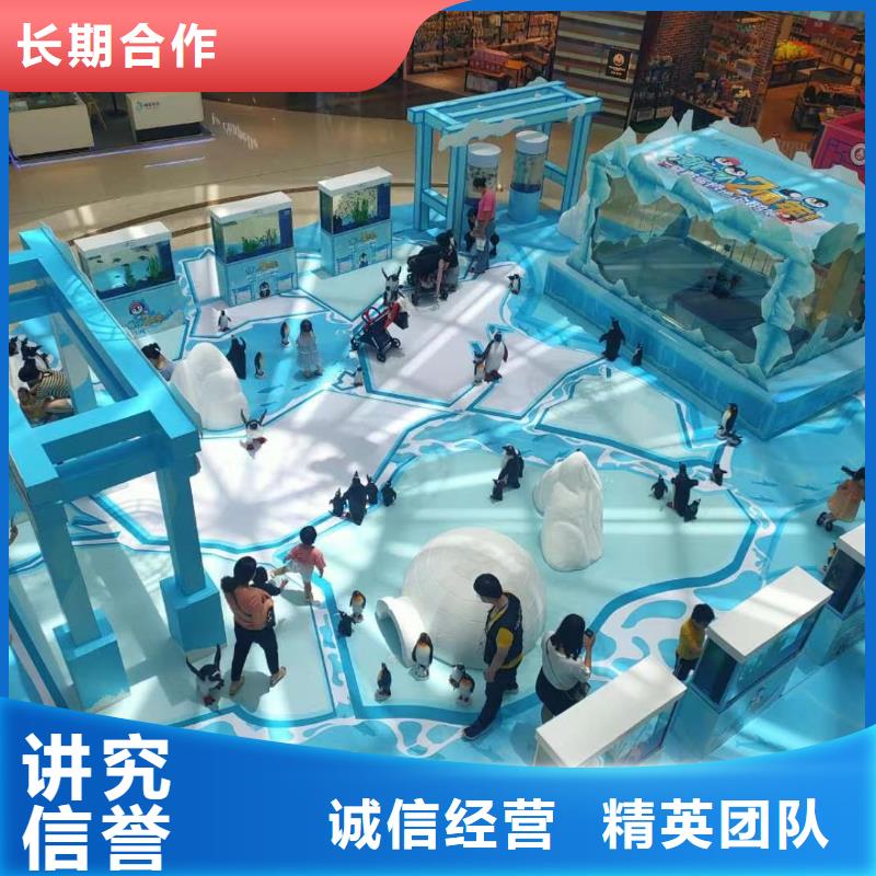 规格全的企鹅出租品牌厂家