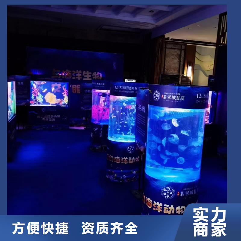 巴布亚企鹅供应商