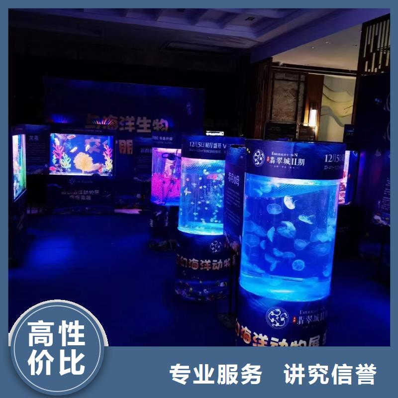 企鹅展览企业-可接大单