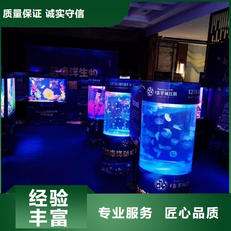 企鹅出租咨询享优惠