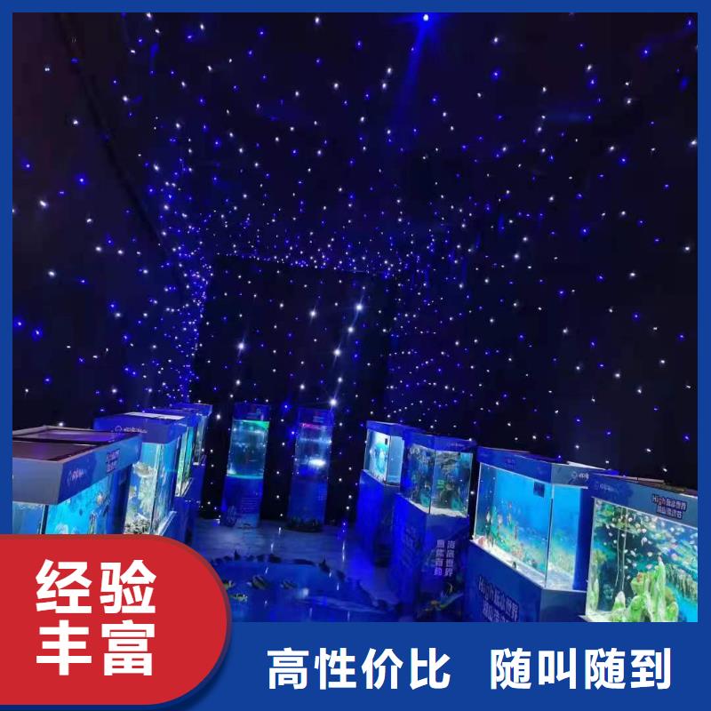 巴布亚企鹅供应商