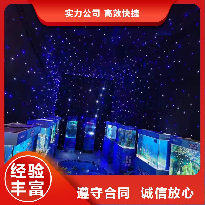 规格全的企鹅出租品牌厂家