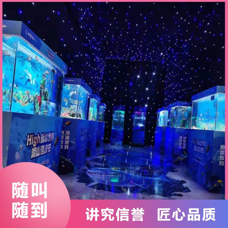 专注制造巴布亚企鹅厂家