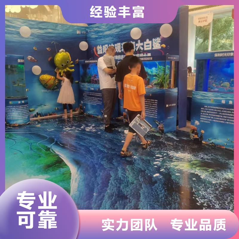 企鹅展览企业-可接大单