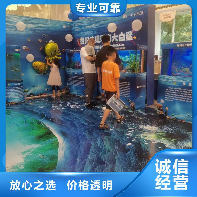 专注制造巴布亚企鹅厂家