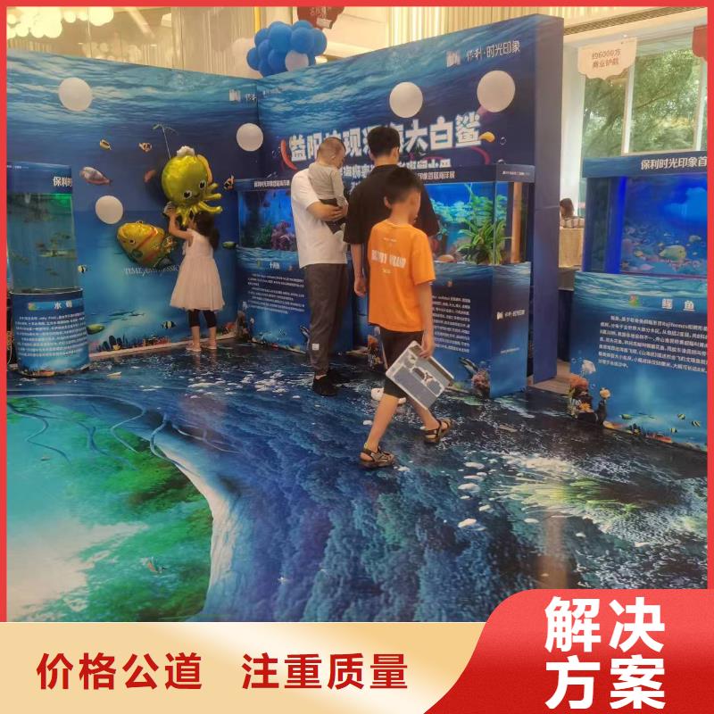 规格全的企鹅出租品牌厂家