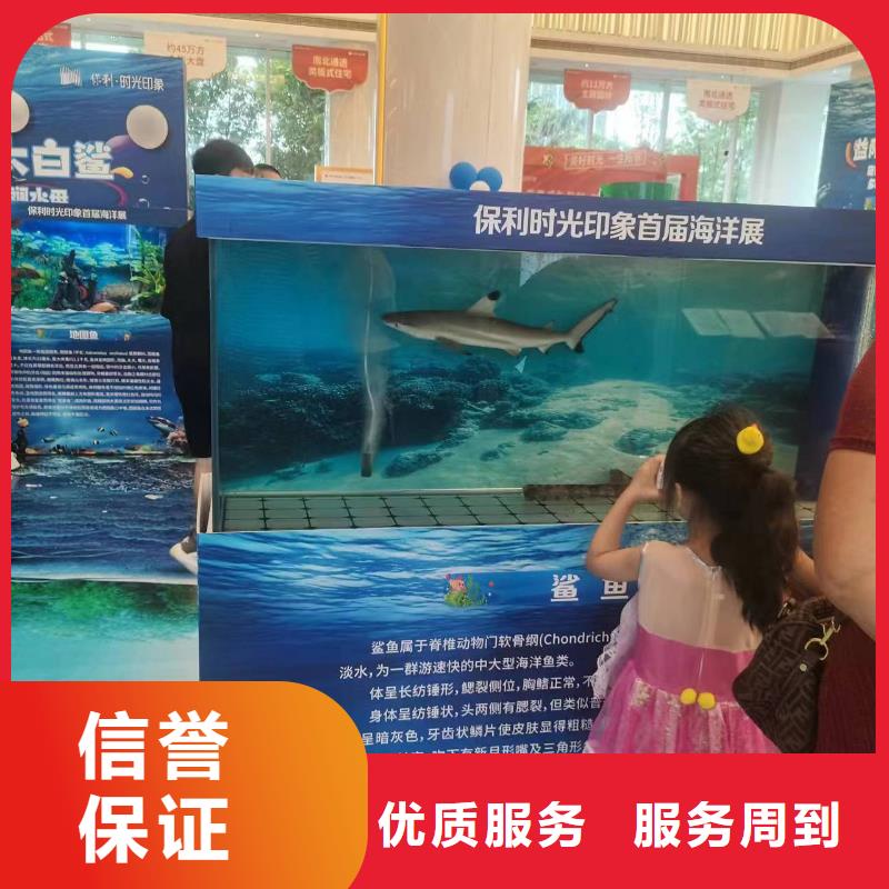 企鹅展览实业厂家