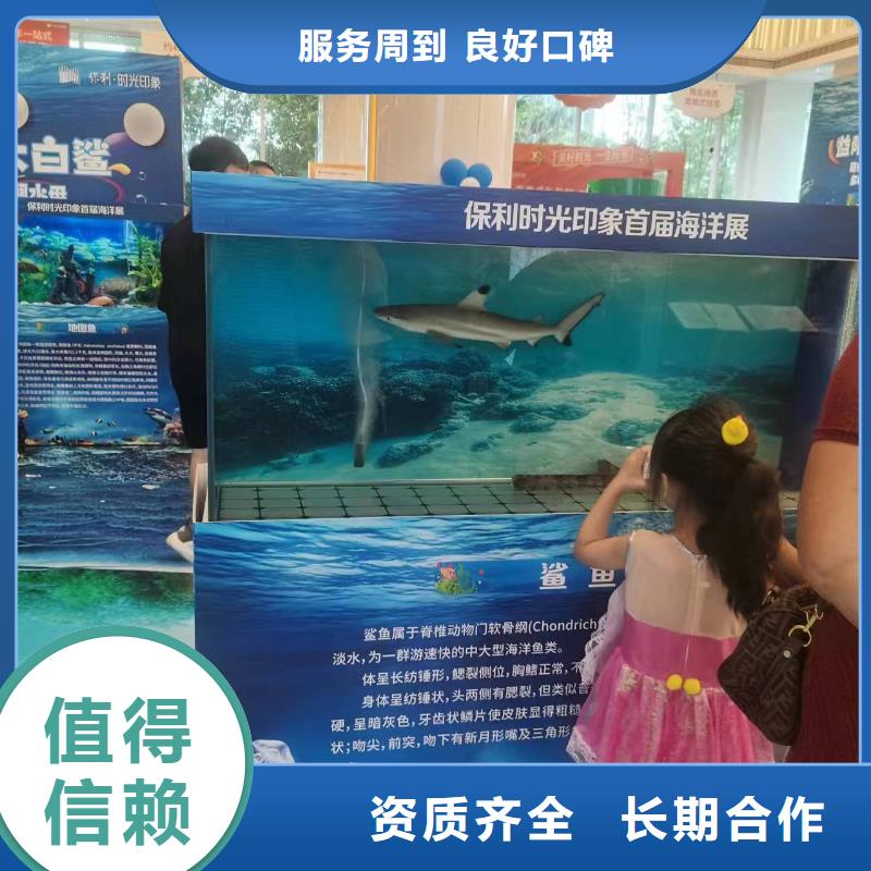 企鹅展览让利促销